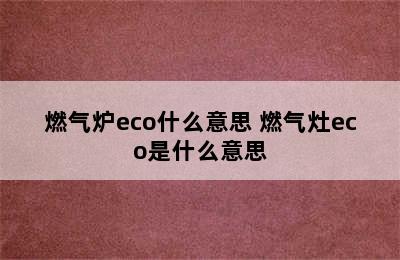 燃气炉eco什么意思 燃气灶eco是什么意思